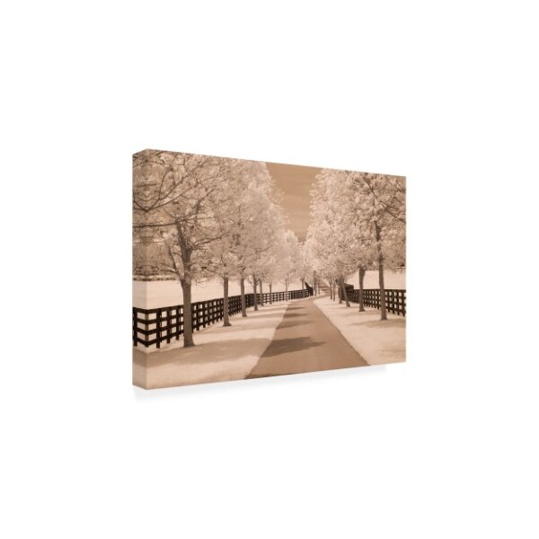 Monte Nagler 'Fence And Trees Kentucky 2' Canvas Art,16x24